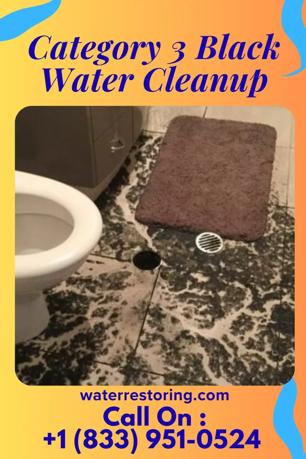 Category 3 Black Water Cleanup in Rocheport, MO