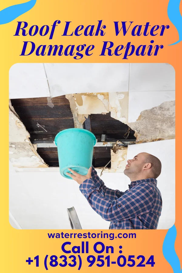 Roof Leak Water Damage Repair in Rocheport, MO